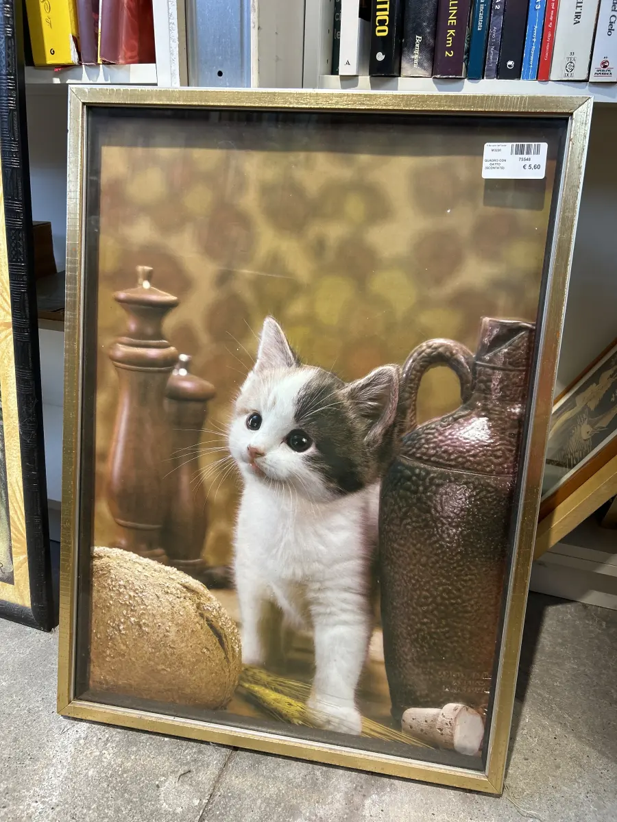 QUADRO CON GATTO (SCONTATO)