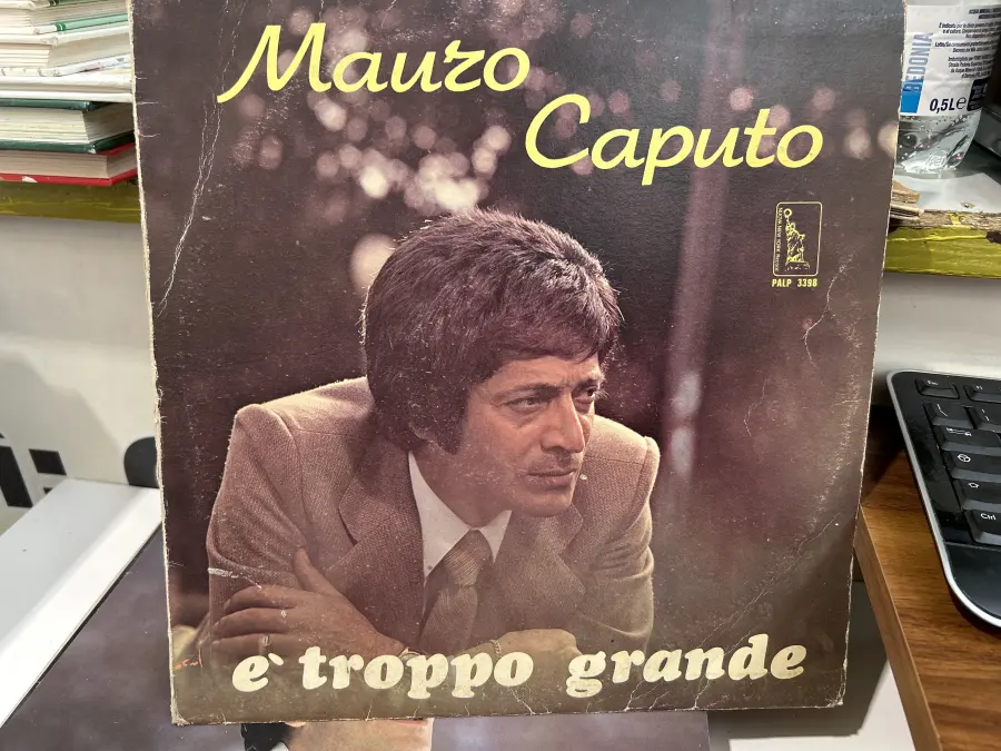 VINILE 33 GIRI E TROPPO GRANDE CAPUTO