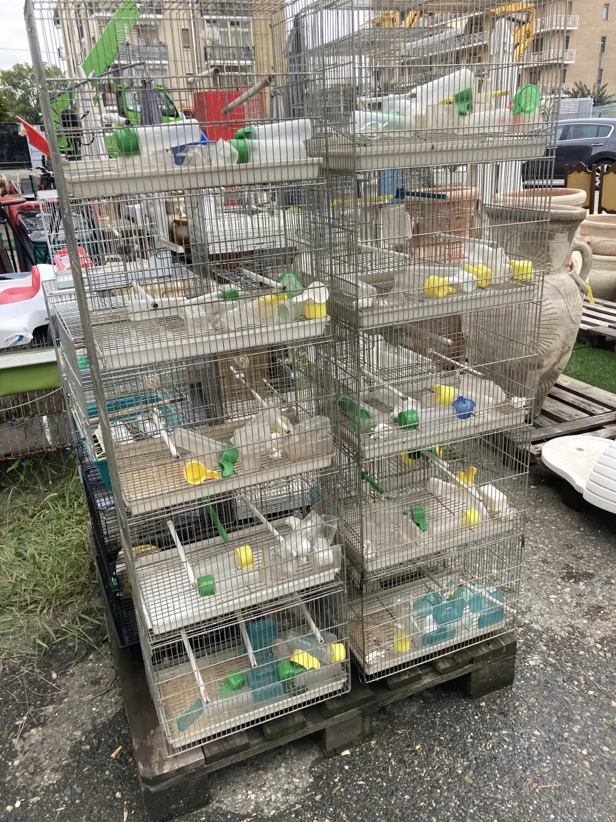 gabbia multipla x uccelli 5 scomparti 3 disponibili cad.