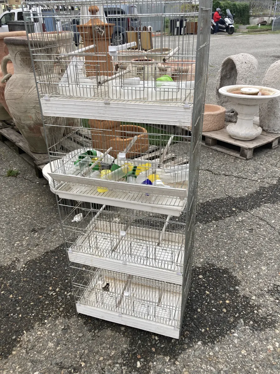 gabbia multipla x uccelli 4 scomparti