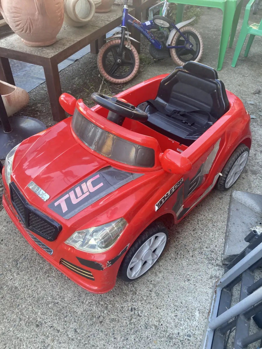macchinina feber elettrica