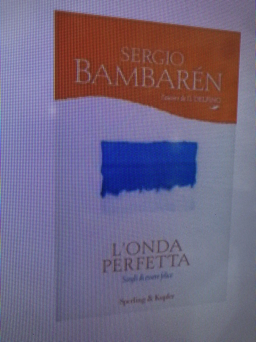 libro L' onda perfetta Sergio Bambaren