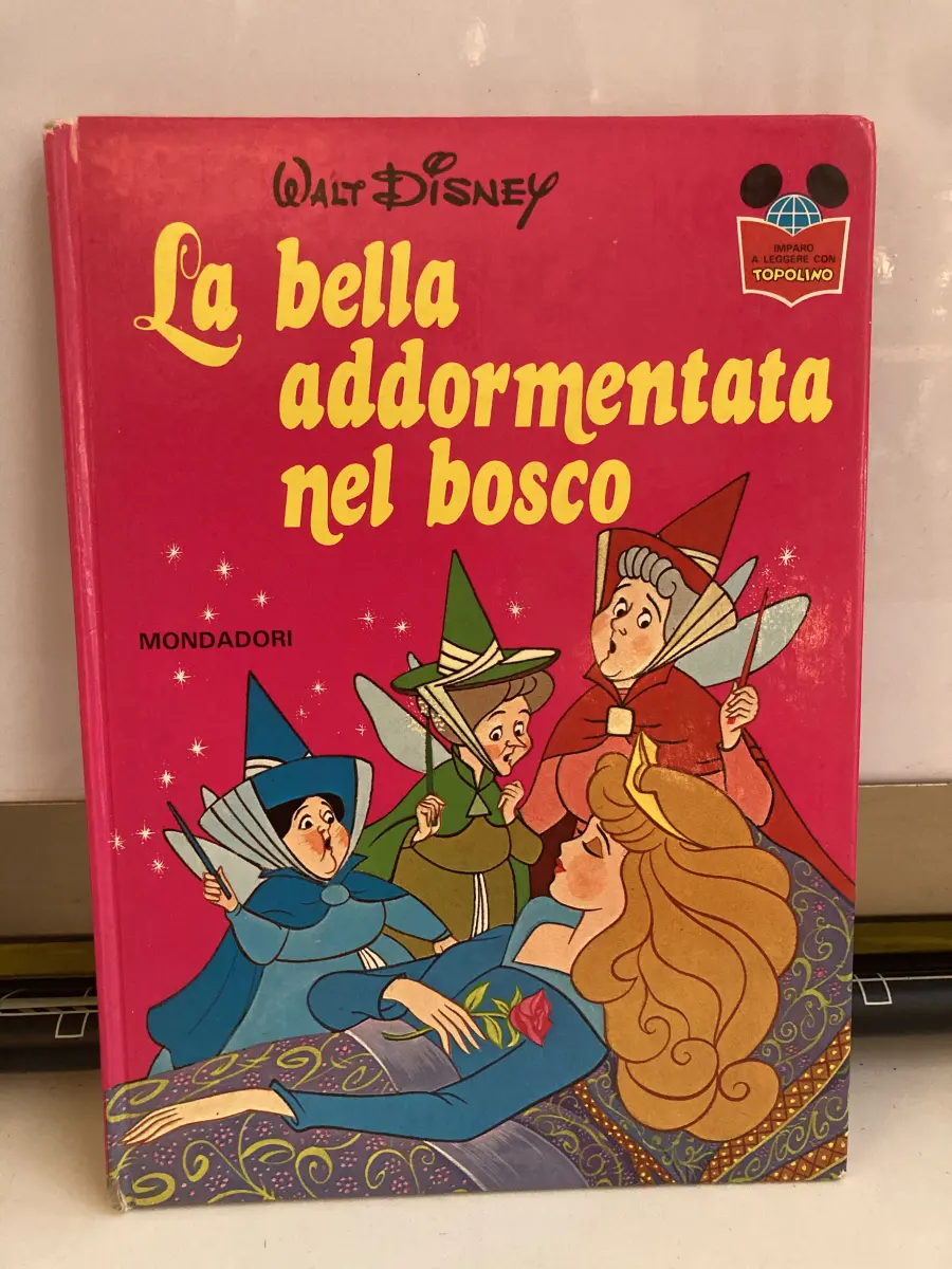 fumtto  la bella addormentata nel bosco
