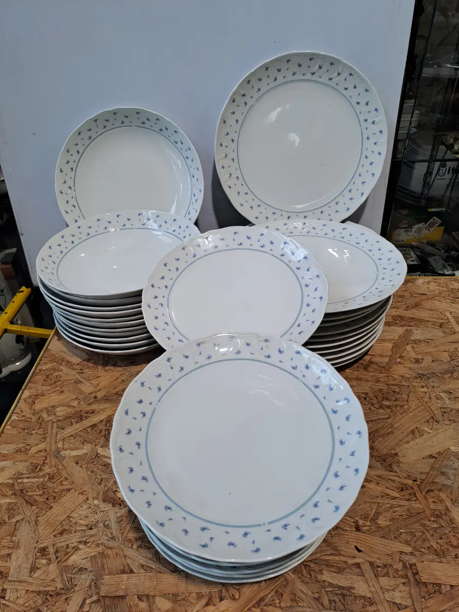 36 piatti tognana con disegno celeste