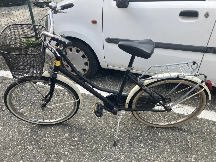 bicicletta donna con cestino