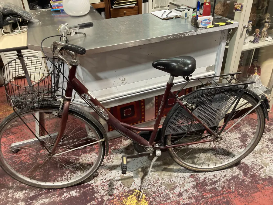 bicicletta donna c/cestino