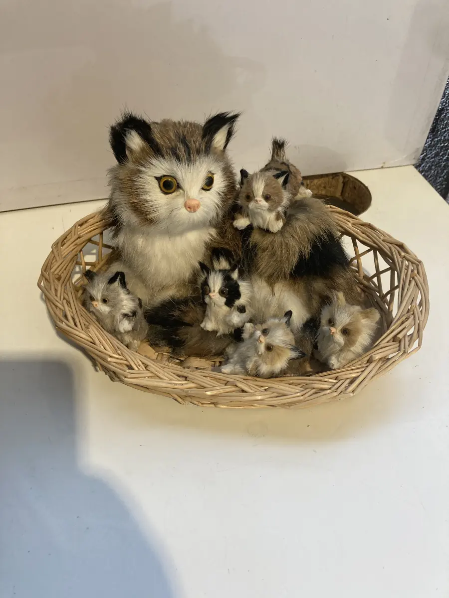 cestino sopramobile con mamma gatta